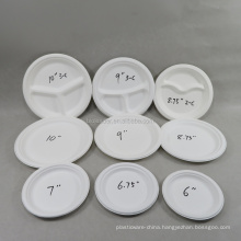 Microwavable 100% Biodegradable Plant Fiber  Round Paper Plates